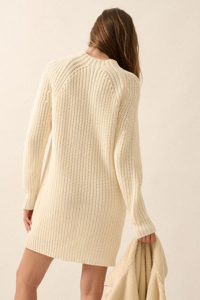 Solid Knit Mini Sweater Dress